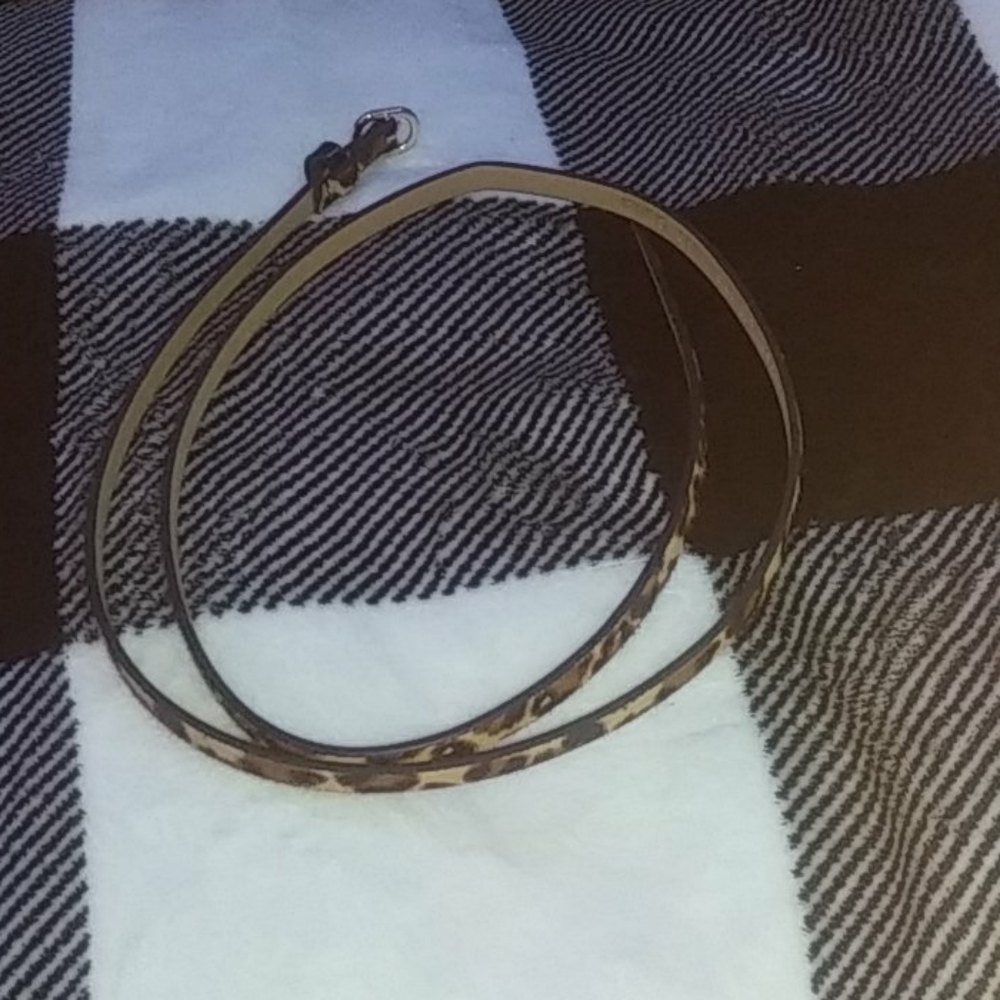 Belt